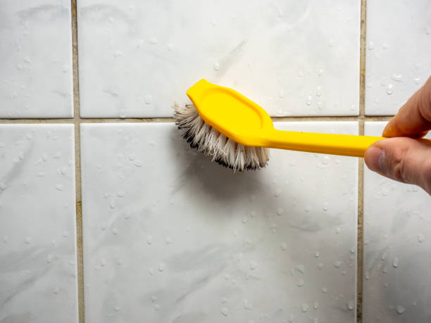 Best Commercial Mold Removal  in Taylor Creek, FL
