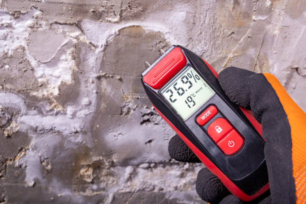 Attic Mold Removal in Taylor Creek, FL