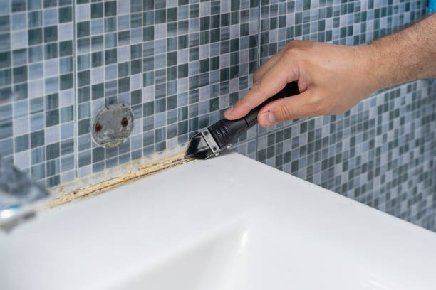 Best Toxic Mold Removal  in Taylor Creek, FL